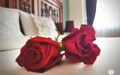 Туры в отель Casa Joaquin Boutique Hotel Туры в отель Casa Joaquin Boutique Hotel