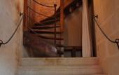 Туры в отель Hotel de l'Amphitheatre Туры в отель Hotel de l'Amphitheatre