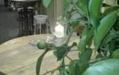 Туры в отель Hotel Gargallo Туры в отель Hotel Gargallo