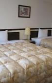 Туры в отель Toyoko Inn Yashio Ekimae Туры в отель Toyoko Inn Yashio Ekimae