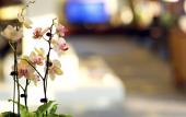 Туры в отель SSAW Boutique Hotel Ningbo CBD - Family Friendly & Business Travel Туры в отель SSAW Boutique Hotel Ningbo CBD - Family Friendly & Business Travel