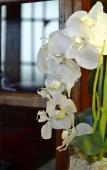 Туры в отель Hotel Serrano Туры в отель Hotel Serrano