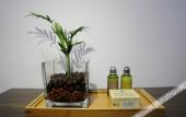 Туры в отель Tianquan Inn (Furong Town Waterfll Branch) Туры в отель Tianquan Inn (Furong Town Waterfll Branch)