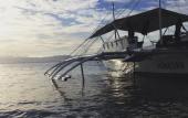 Туры в отель Neptune Diving Resort Moalboal Туры в отель Neptune Diving Resort Moalboal