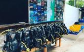 Туры в отель Neptune Diving Resort Moalboal Туры в отель Neptune Diving Resort Moalboal