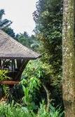Туры в отель Alassari Sanctuary Туры в отель Alassari Sanctuary