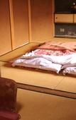 Туры в отель Ryokan Kaminaka Туры в отель Ryokan Kaminaka