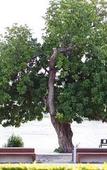 Туры в отель The Zeit River Kwai Туры в отель The Zeit River Kwai