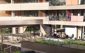 Туры в отель The Branksome Hotel And Residences Туры в отель The Branksome Hotel And Residences