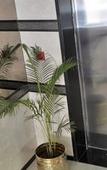 Туры в отель Hotel Continental Blue Туры в отель Hotel Continental Blue