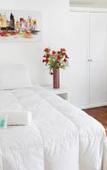 Туры в отель Tremo Hotel Boutique Bellas Artes Туры в отель Tremo Hotel Boutique Bellas Artes