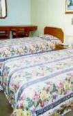 Туры в отель Lider Palace Hotel Туры в отель Lider Palace Hotel