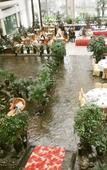 Туры в отель Xi'an Qujiang Huibinyuan Hotel Туры в отель Xi'an Qujiang Huibinyuan Hotel