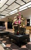 Туры в отель Daiwa Roynet Hotel Aomori Туры в отель Daiwa Roynet Hotel Aomori