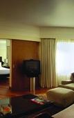 Туры в отель Hyatt Regency Delhi Туры в отель Hyatt Regency Delhi