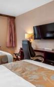 Туры в отель The L Hotel Туры в отель The L Hotel