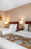 Туры в отель The L Hotel Туры в отель The L Hotel