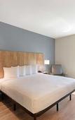 Туры в отель Extended Stay America Premier Suites Tampa Fairgrounds Casin Туры в отель Extended Stay America Premier Suites Tampa Fairgrounds Casin