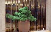 Туры в отель JI Hotel (Yueqing) Туры в отель JI Hotel (Yueqing)