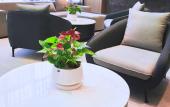 Туры в отель Crystal Orange (Xinyi Center) Туры в отель Crystal Orange (Xinyi Center)