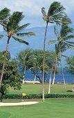Туры в отель Hyatt Regency Maui Resort and Spa Туры в отель Hyatt Regency Maui Resort and Spa