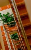 Туры в отель RK Guesthouse Туры в отель RK Guesthouse