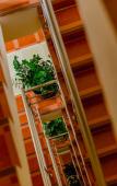 Туры в отель RK Guesthouse Туры в отель RK Guesthouse
