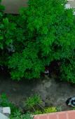 Туры в отель RK Guesthouse Туры в отель RK Guesthouse