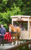 Туры в отель Hoshino Resorts Aomoriya Туры в отель Hoshino Resorts Aomoriya