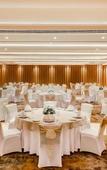 Туры в отель Lemon Tree Premier Vijayawada Туры в отель Lemon Tree Premier Vijayawada
