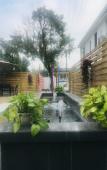 Туры в отель Shanghai Qike boutique home stay Туры в отель Shanghai Qike boutique home stay