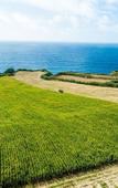 Туры в отель Sensi Azores Nature and SPA Туры в отель Sensi Azores Nature and SPA