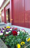 Туры в отель Casa Lata - Wine & Tourism Туры в отель Casa Lata - Wine & Tourism
