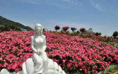 Туры в отель HUALUXE Hotels and Resorts NINGBO HARBOR CITY Туры в отель HUALUXE Hotels and Resorts NINGBO HARBOR CITY
