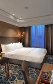 Туры в отель Holiday Inn Gurugram Sector 90 by IHG Туры в отель Holiday Inn Gurugram Sector 90 by IHG