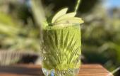 Туры в отель Boho Club Marbella - a Preferred Hotel Туры в отель Boho Club Marbella - a Preferred Hotel