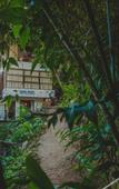 Туры в отель Rupa Rupa High Jungle Eco B&B Туры в отель Rupa Rupa High Jungle Eco B&B