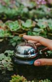 Туры в отель Rupa Rupa High Jungle Eco B&B Туры в отель Rupa Rupa High Jungle Eco B&B