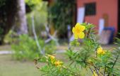 Туры в отель Koh Kood Far East Resort Туры в отель Koh Kood Far East Resort