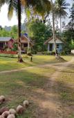 Туры в отель Lee Red House Туры в отель Lee Red House