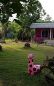 Туры в отель Lee Red House Туры в отель Lee Red House