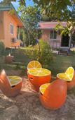 Туры в отель Lee Red House Туры в отель Lee Red House