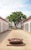 Туры в отель Marasa Sarovar Premiere Bodhgaya Туры в отель Marasa Sarovar Premiere Bodhgaya
