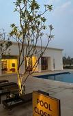 Туры в отель Marasa Sarovar Premiere Bodhgaya Туры в отель Marasa Sarovar Premiere Bodhgaya