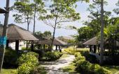 Туры в отель Cocoons Club Laiya Туры в отель Cocoons Club Laiya