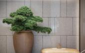 Туры в отель JI Hotel (Hangzhou Binjiang Baolong City) Туры в отель JI Hotel (Hangzhou Binjiang Baolong City)