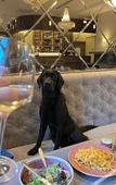 Туры в отель CALVARY Hotel & Restaurant Vilnius Туры в отель CALVARY Hotel & Restaurant Vilnius