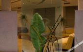 Туры в отель Kreoli Hotel Туры в отель Kreoli Hotel