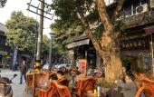 Туры в отель Ibis Hotel (Chengdu Wide and Narrow Alleys Central Hotel) Туры в отель Ibis Hotel (Chengdu Wide and Narrow Alleys Central Hotel)