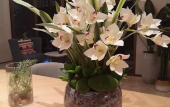 Туры в отель MERCURE NINGBO Eastern New City HOTEL Туры в отель MERCURE NINGBO Eastern New City HOTEL